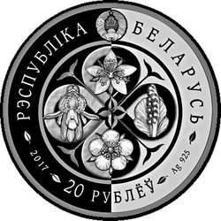 аверс 20 rubljev 2017 "Лапчатка скальная"